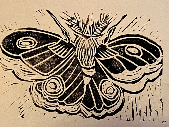 Moth